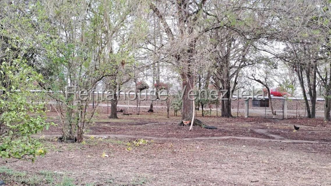 Terreno (Finca) en Venta en Centro - Guama, Yaracuy - 19