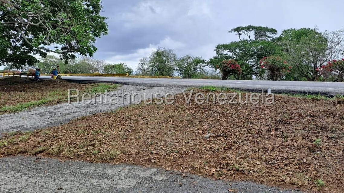 Terreno (Finca) en Venta en Centro - Guama, Yaracuy - 20