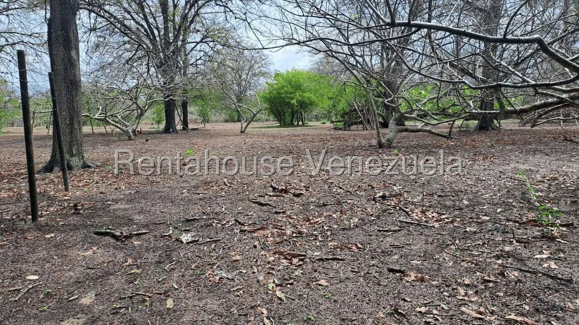 Terreno (Finca) en Venta en Centro - Guama, Yaracuy - 5
