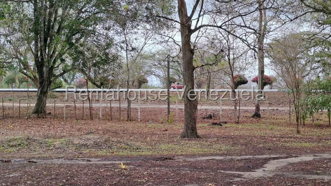 Terreno (Finca) en Venta en Centro - Guama, Yaracuy - 6