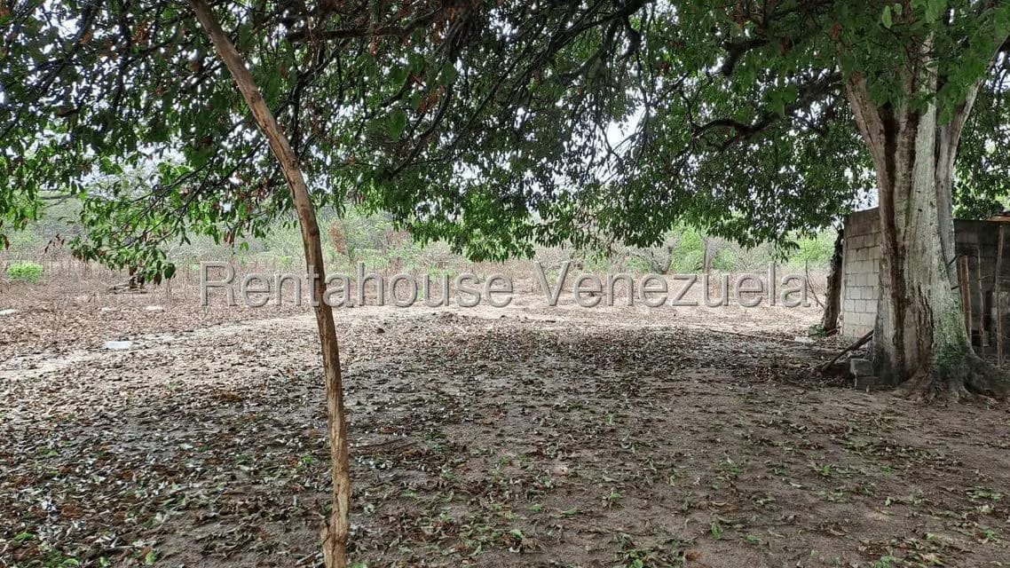 Terreno (Finca) en Venta en Centro - Guama, Yaracuy - 7