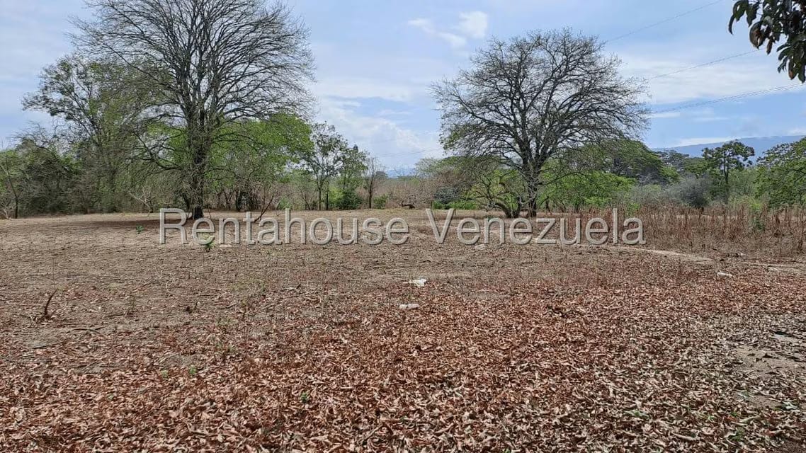 Terreno (Finca) en Venta en Centro - Guama, Yaracuy - 8