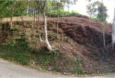 Venta de Exclusivo terreno en la Morita