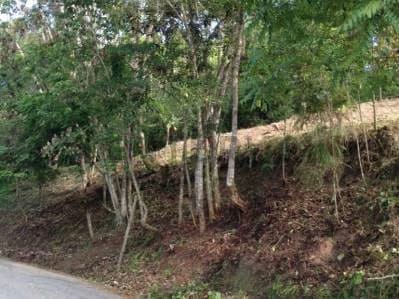 Venta de Exclusivo terreno en la Morita - 2