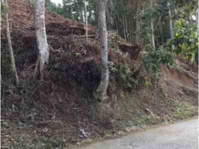 Venta de Exclusivo terreno en la Morita - 3