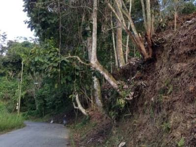 Venta de Exclusivo terreno en la Morita - 4