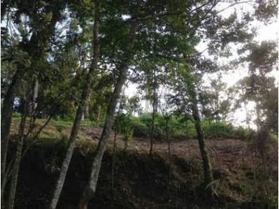 Venta de Exclusivo terreno en la Morita - 5