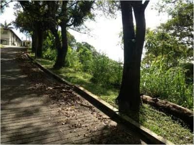 Venta de Exclusivo terreno en la Morita - 6