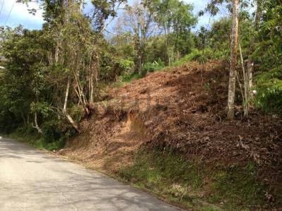 Venta de Exclusivo terreno en la Morita - 8