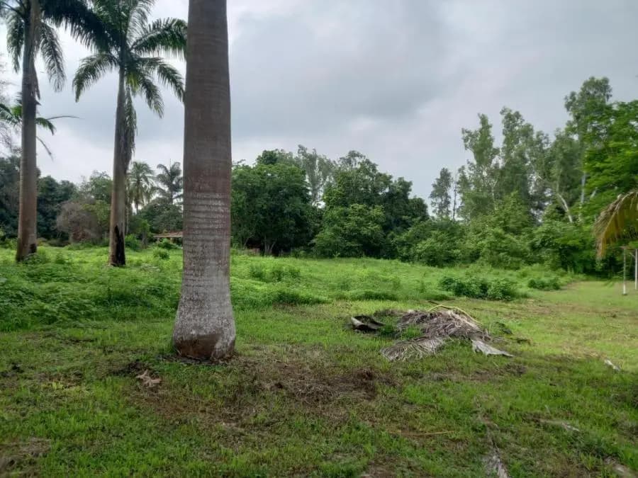 Terreno en Venta en Libertador Tocuyito