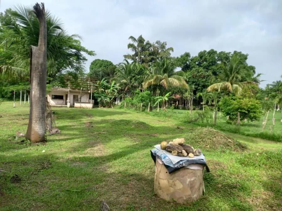Terreno en Venta en Libertador Tocuyito - 2