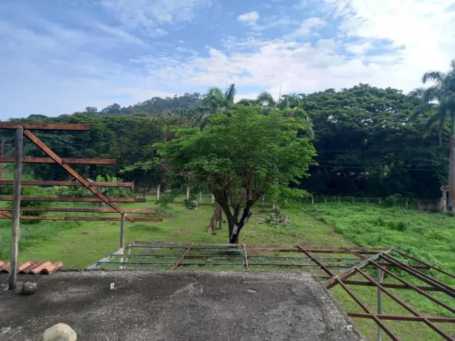 Terreno en Venta en Libertador Tocuyito - 12