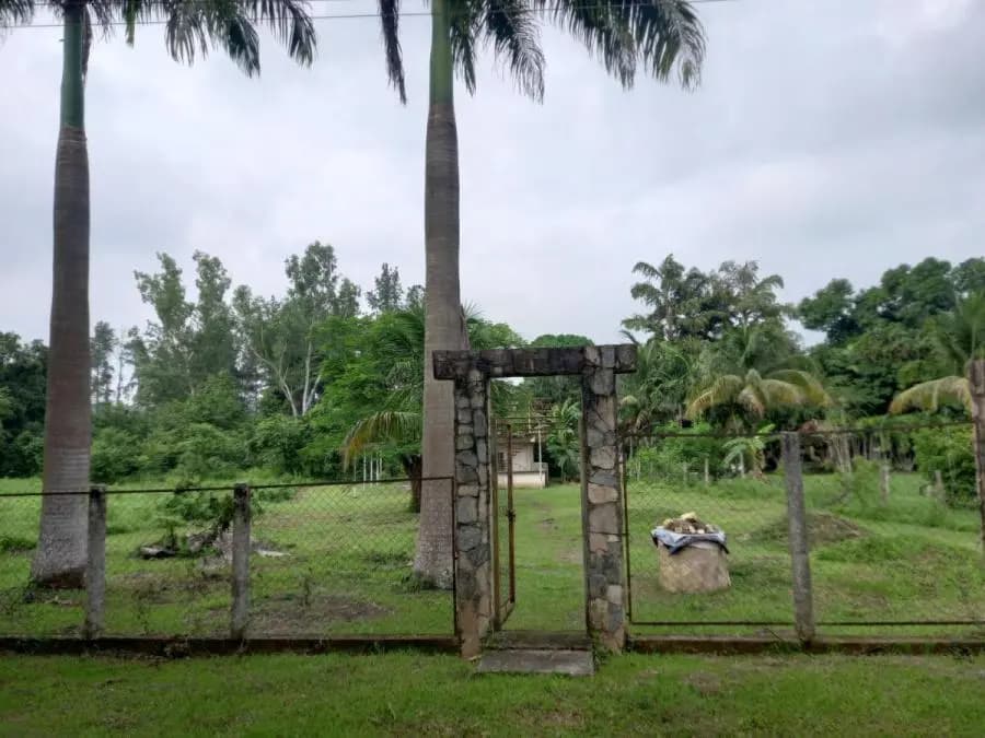 Terreno en Venta en Libertador Tocuyito - 13