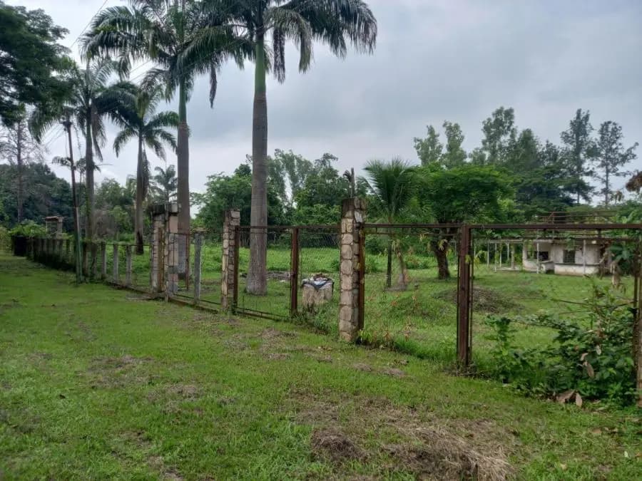 Terreno en Venta en Libertador Tocuyito - 14