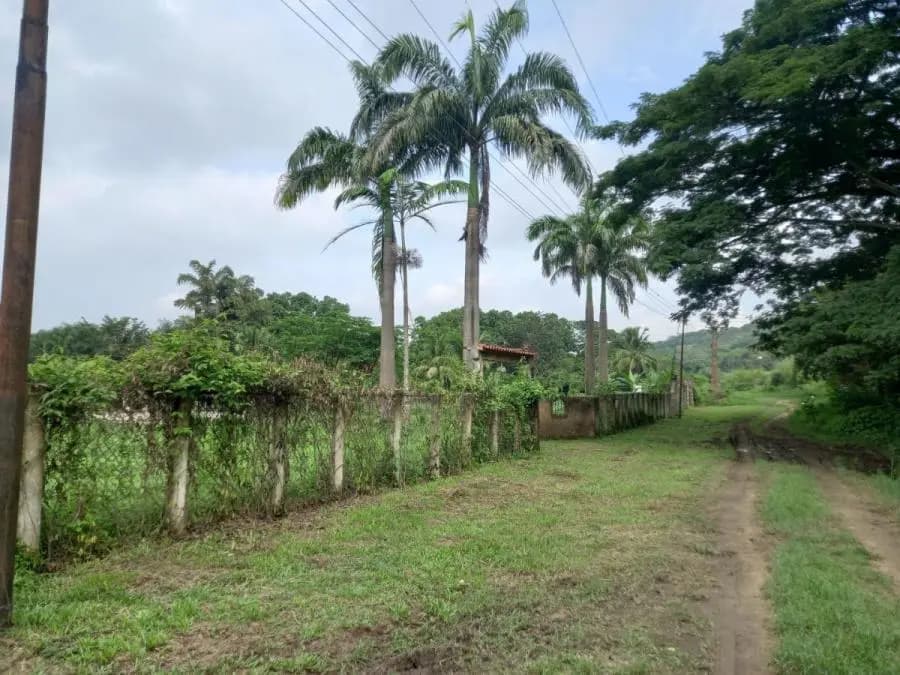 Terreno en Venta en Libertador Tocuyito - 15