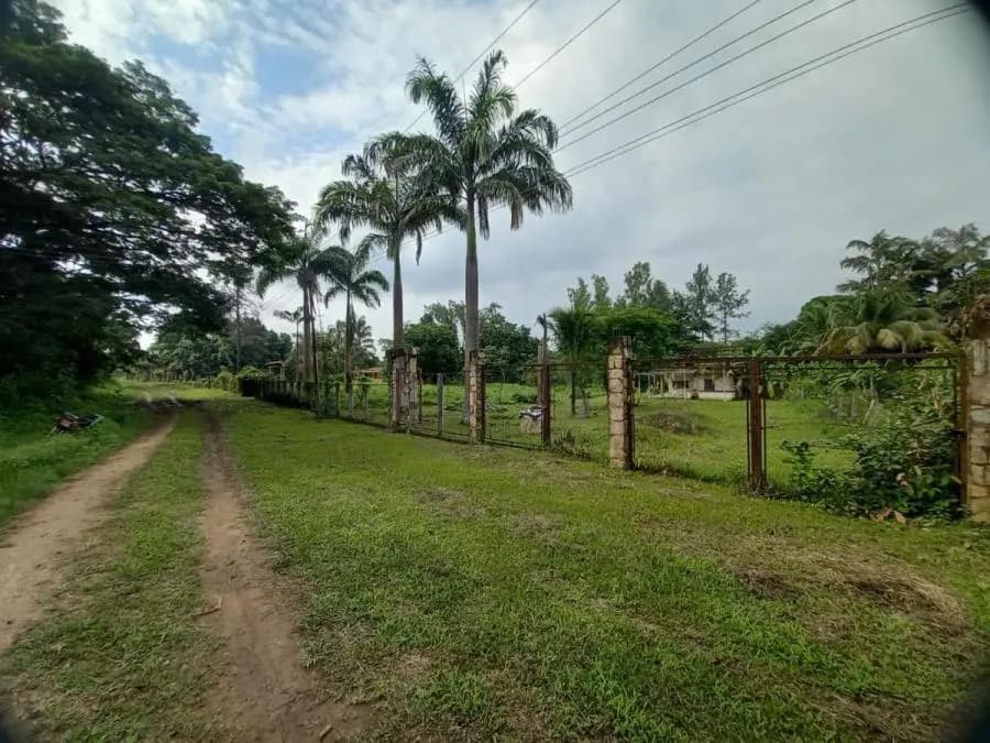 Terreno en Venta en Libertador Tocuyito - 17