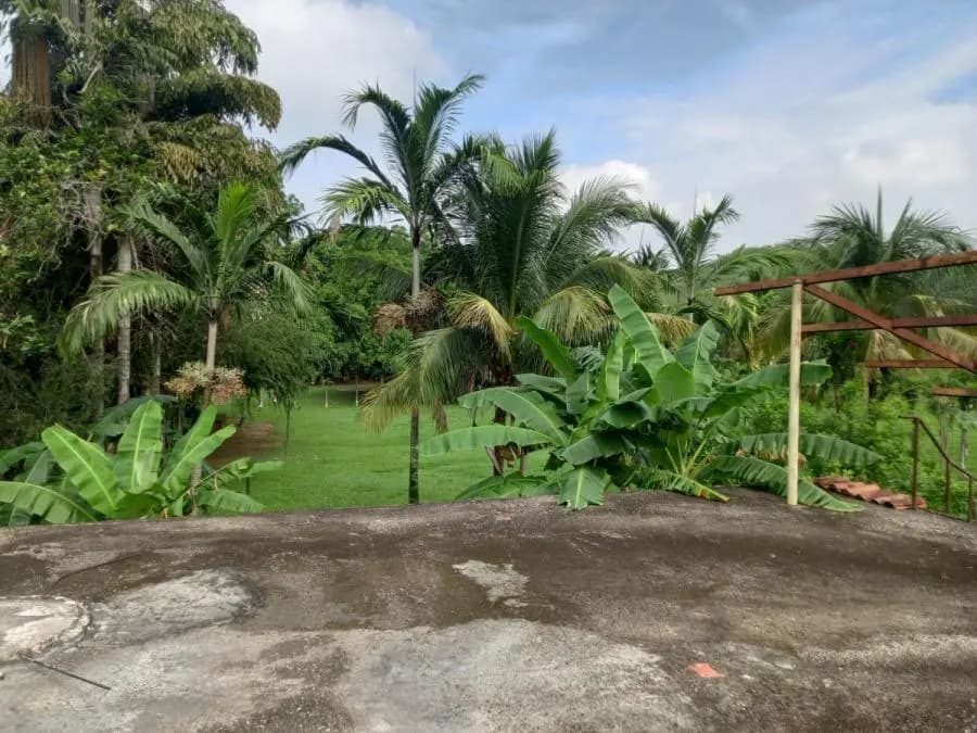 Terreno en Venta en Libertador Tocuyito - 4
