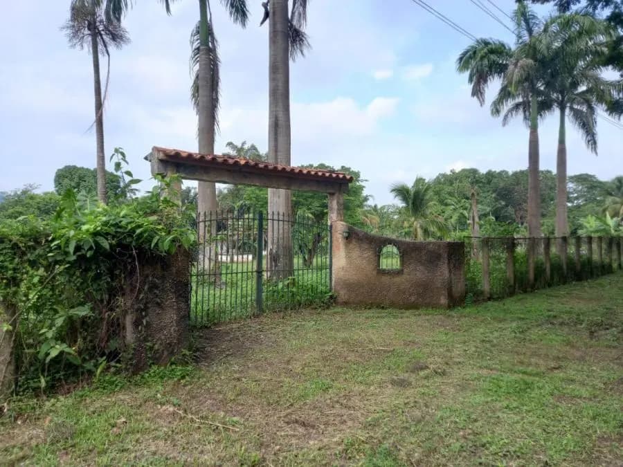 Terreno en Venta en Libertador Tocuyito - 9