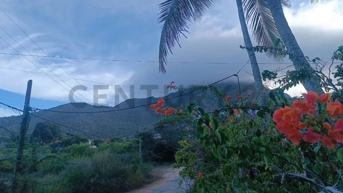 Doble casa estilo campestre en Manantiales de Guayamurí Margarita - 3