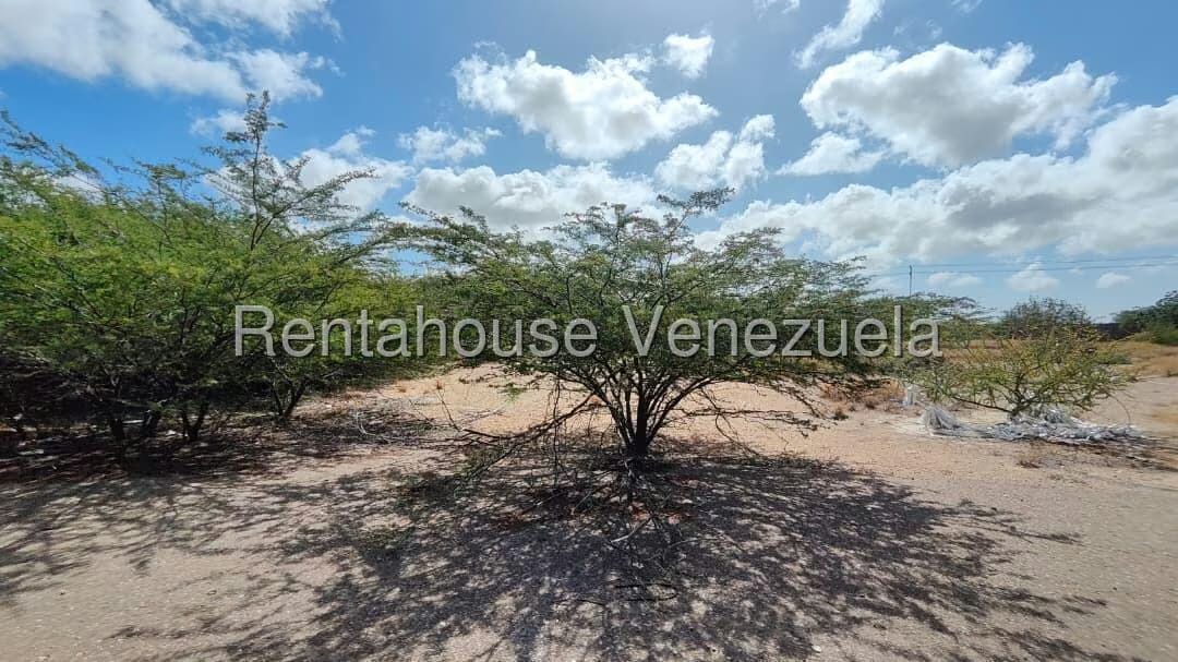 Terreno (Comercial) en Venta en Creolandia, Falcon - 11