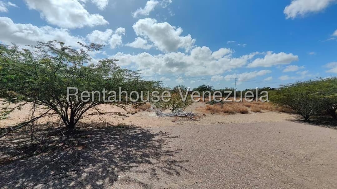 Terreno (Comercial) en Venta en Creolandia, Falcon - 12