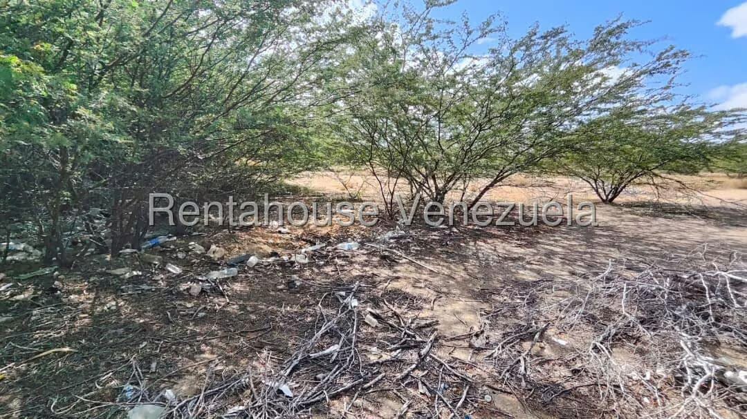 Terreno (Comercial) en Venta en Creolandia, Falcon - 13