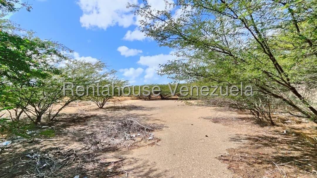 Terreno (Comercial) en Venta en Creolandia, Falcon - 14