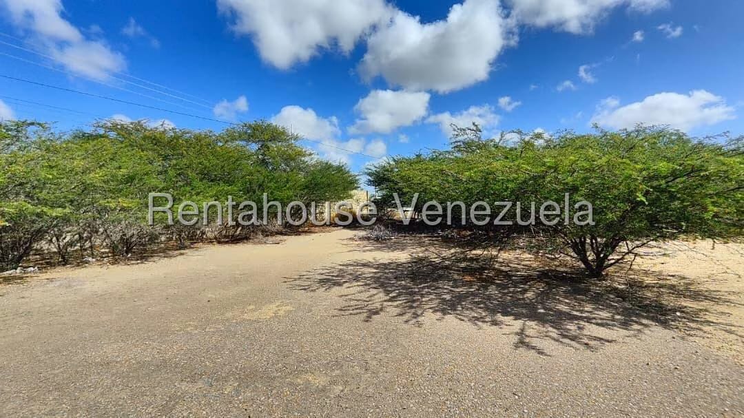 Terreno (Comercial) en Venta en Creolandia, Falcon - 5