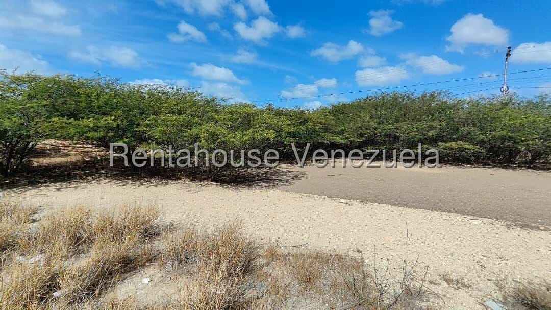 Terreno (Comercial) en Venta en Creolandia, Falcon - 7