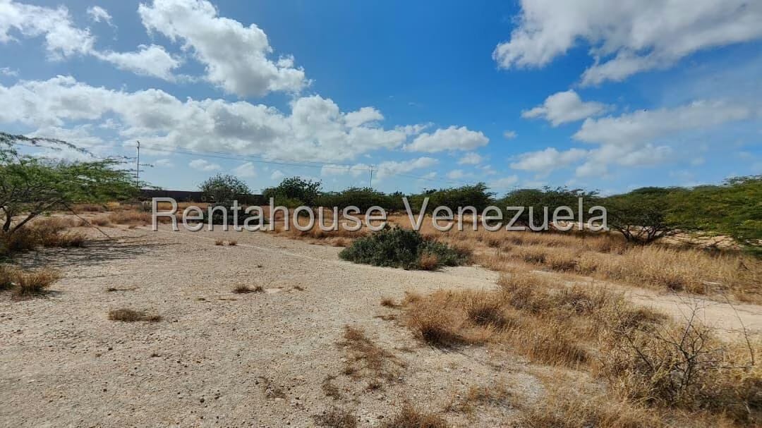 Terreno (Comercial) en Venta en Creolandia, Falcon - 8