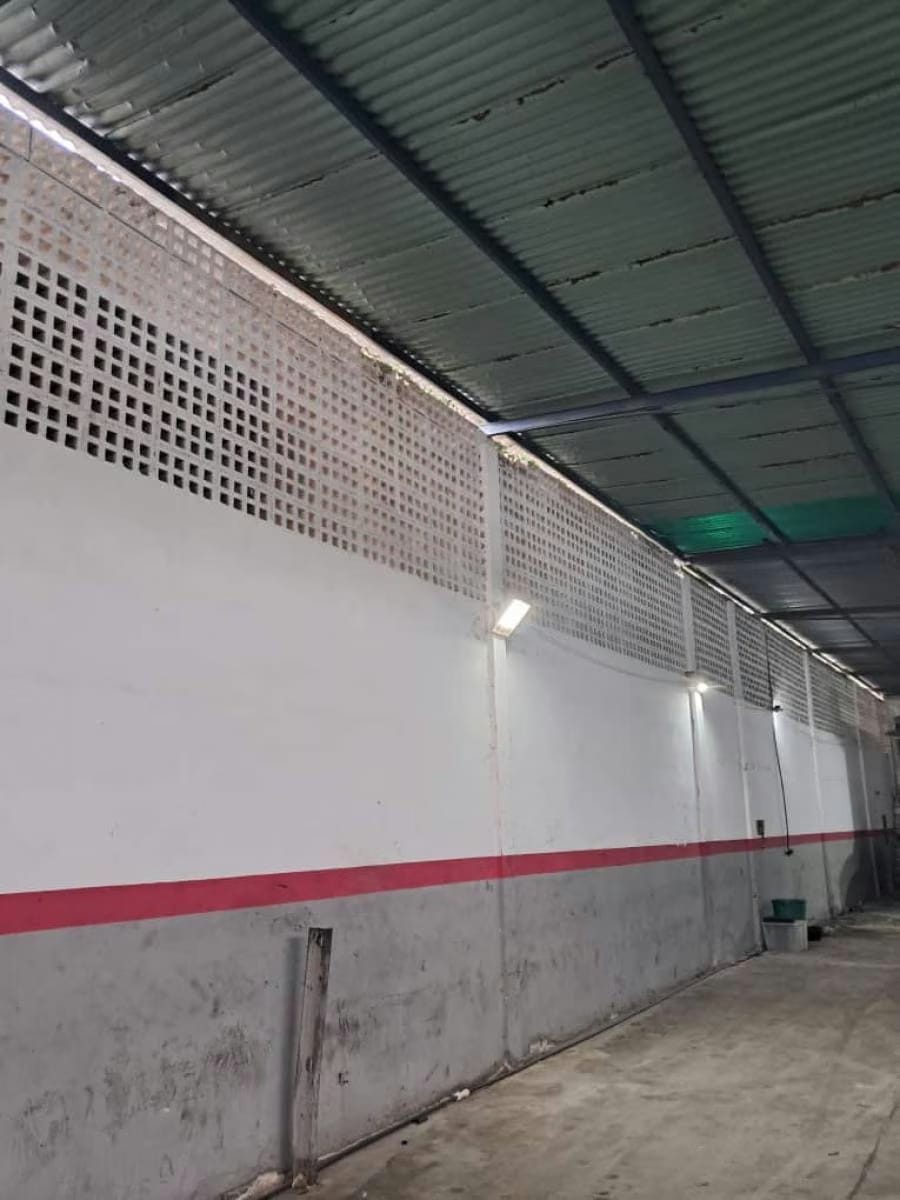 Galpon en Venta en Candelaria Valencia - 4