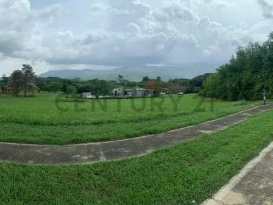 Se vende parcel la de 2600 mts2 - 5