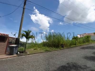 VENTA DE TERRENO EN SAN ANTONIO DE LOS ALTOS