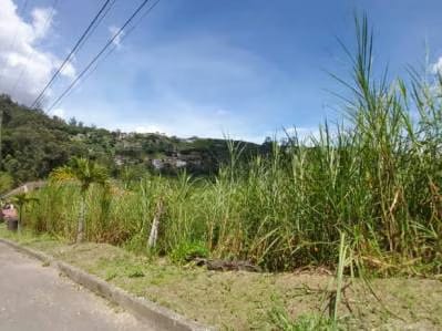 VENTA DE TERRENO EN SAN ANTONIO DE LOS ALTOS - 3