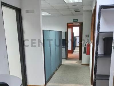 amplias y espaciosas oficinas - 3