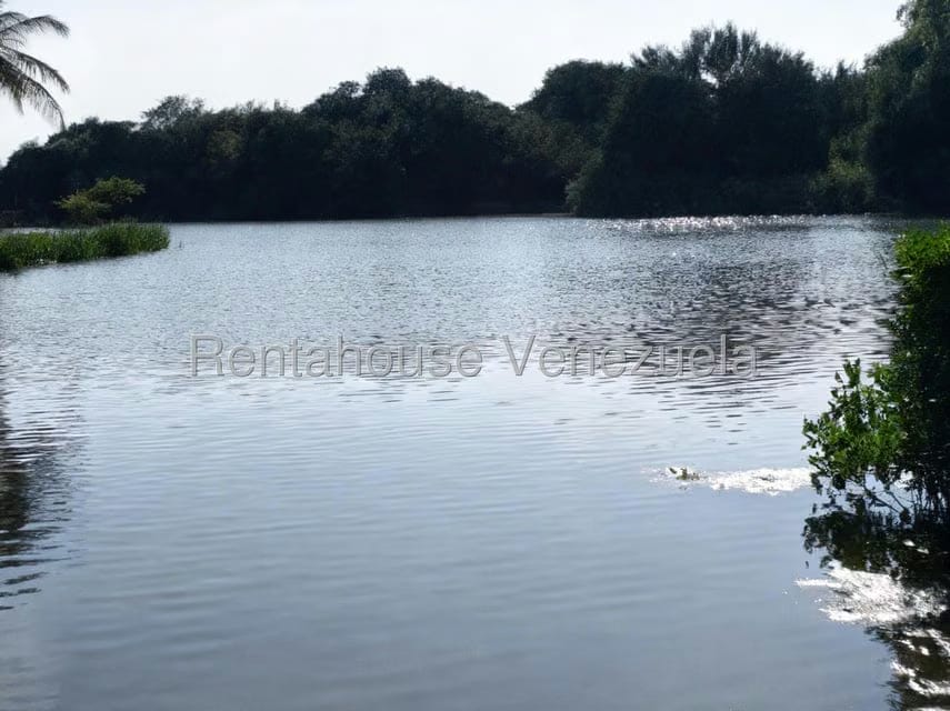 Apartamento (1 Nivel) en Venta en Los Canales de Rio Chico, Miranda - 4