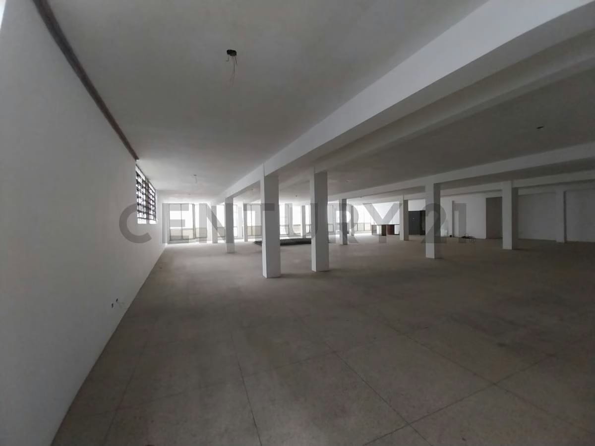 Local en Alquiler en La Candelaria - 3