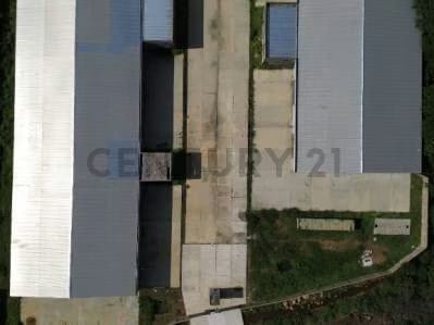 Alquiler de Galpones en Cond. Industrial Oasis Park - 10