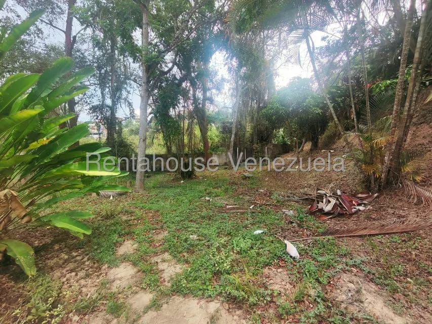 Apartamento (1 Nivel) en Venta en Los Nuevos Teques, Miranda - 52