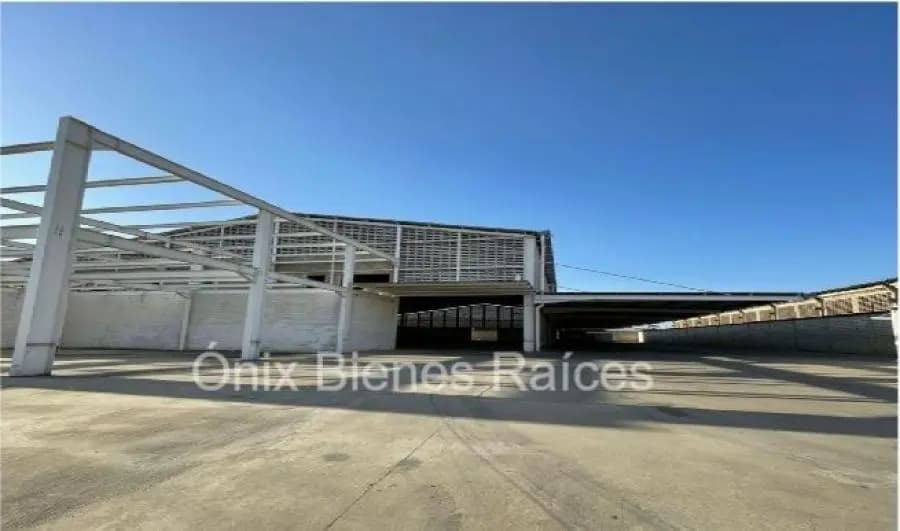 Galpon en Venta en Rafael Urdaneta Valencia - 6