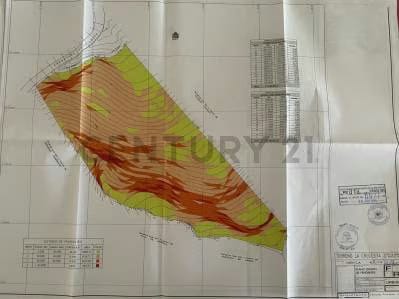 Terreno ubicado en sector privilegiado.