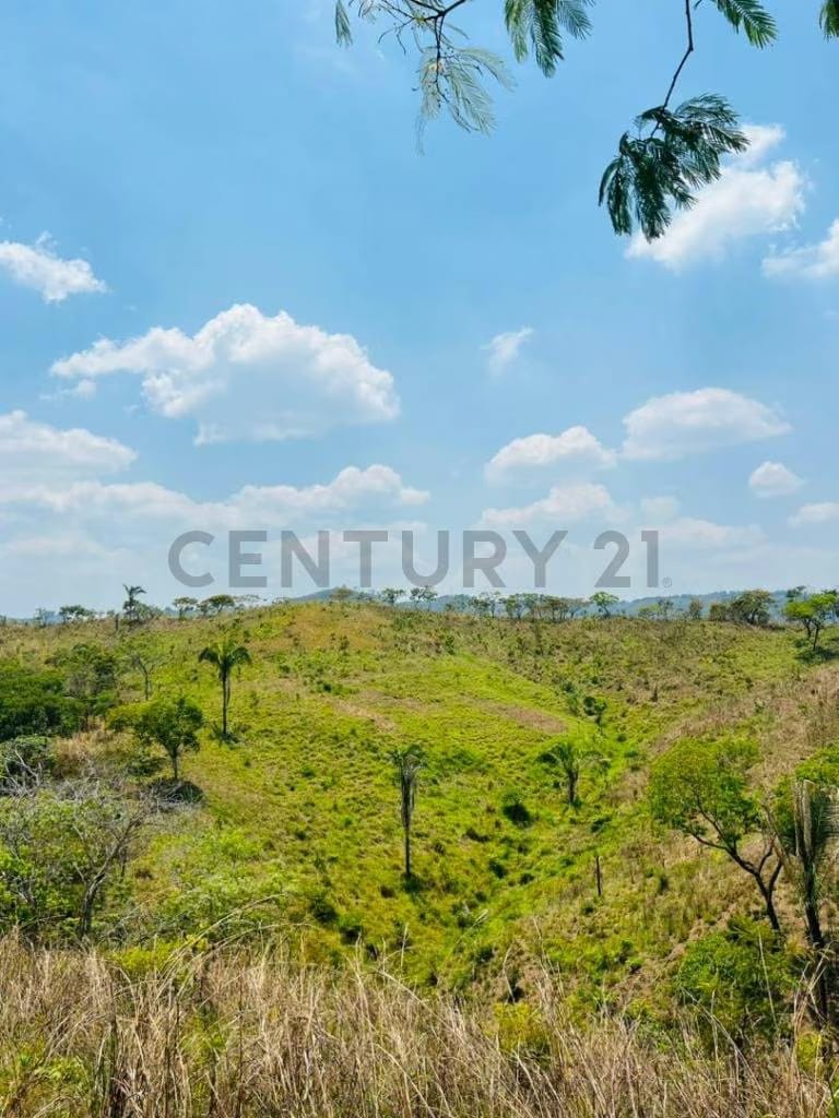 Finca los tucucitos, Edo Cojedes