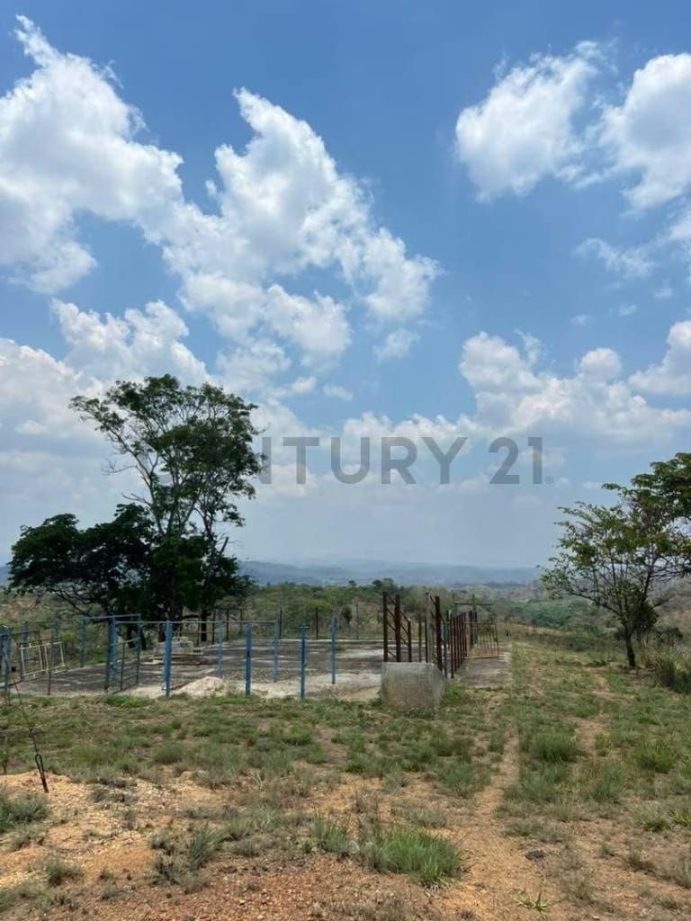 Finca los tucucitos, Edo Cojedes - 2