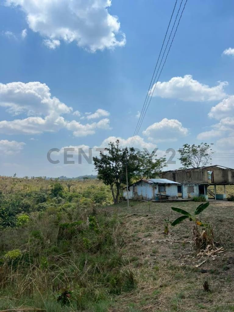 Finca los tucucitos, Edo Cojedes - 3