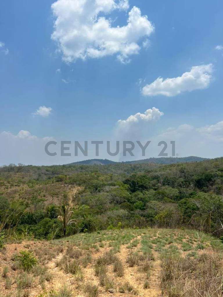 Finca los tucucitos, Edo Cojedes - 4