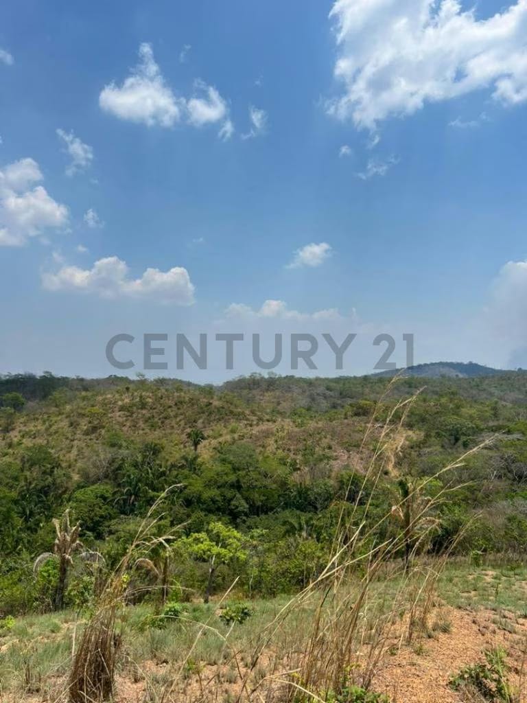 Finca los tucucitos, Edo Cojedes - 5