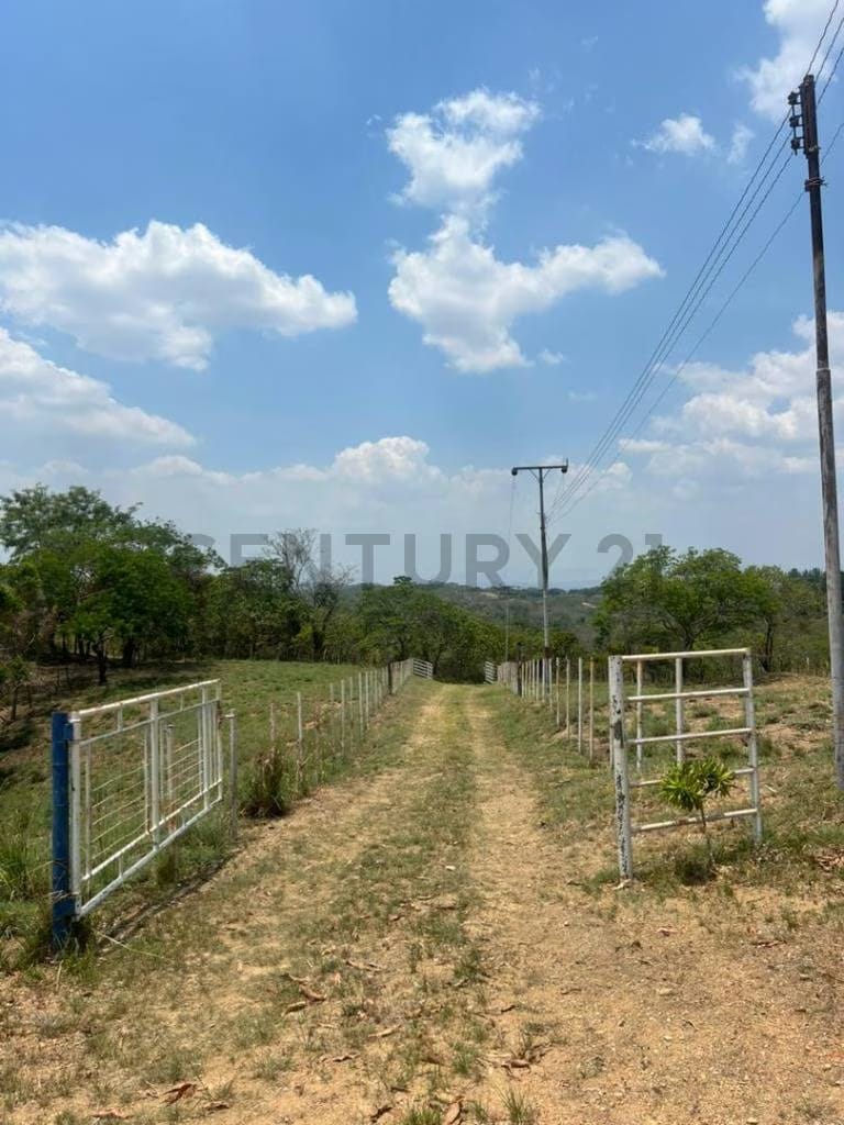 Finca los tucucitos, Edo Cojedes - 6