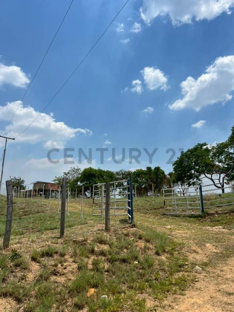 Finca los tucucitos, Edo Cojedes - 7