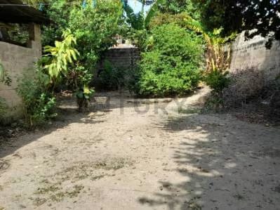 Oportunidad de Inversión en el Corazón de Turmero, Estado Aragua - 2