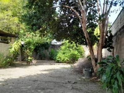 Oportunidad de Inversión en el Corazón de Turmero, Estado Aragua - 5